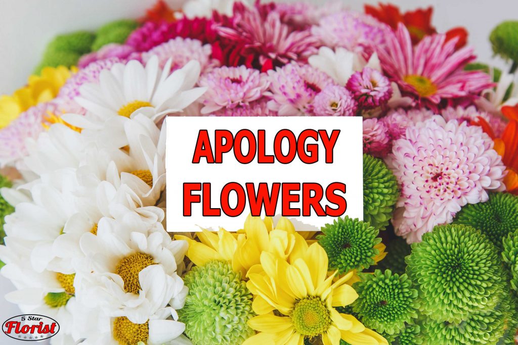 apology flowers Jacksonville